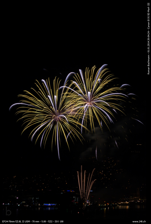 New Year's Fireworks (Neujahrsfeuerwerk) 2014